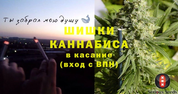 сатива Нефтегорск