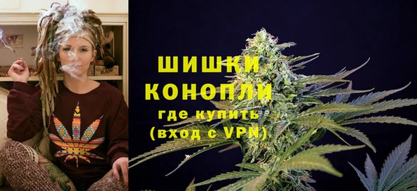 сатива Нефтегорск