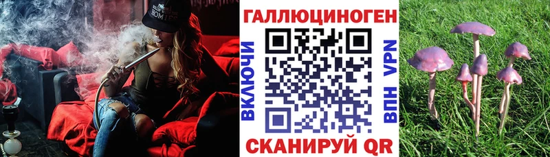 площадка состав  Нововоронеж  Галлюциногенные грибы MAGIC MUSHROOMS  kraken ТОР 