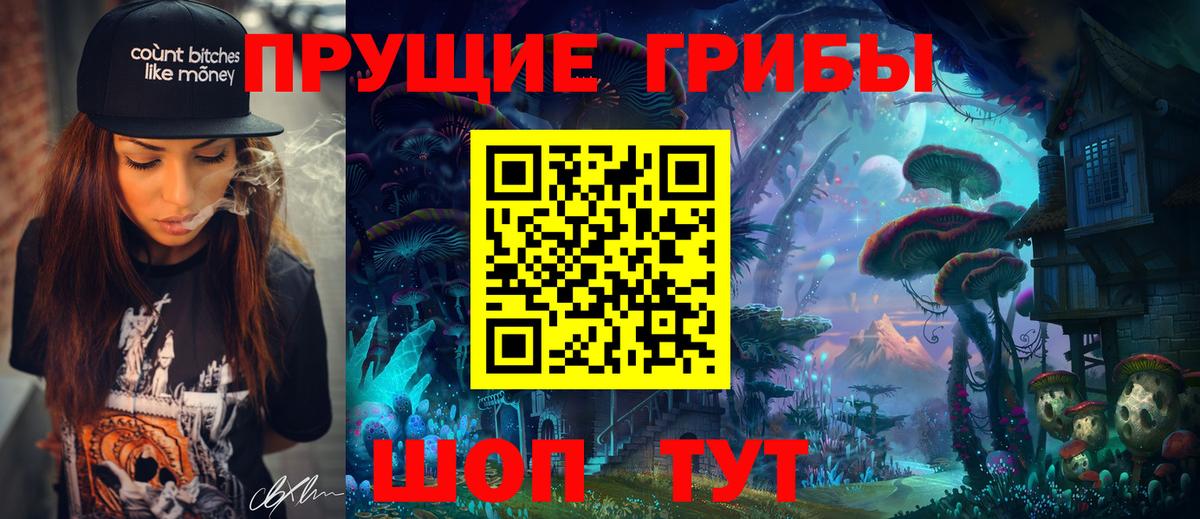 Псилоцибиновые грибы Psilocybine cubensis Нововоронеж